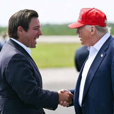 Florida: the frontline of Trump's immigration crackdown