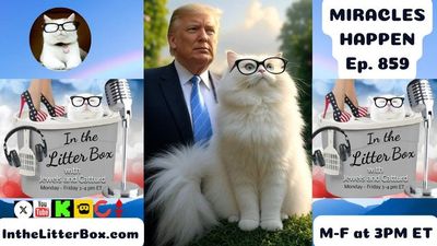 MIRACLES HAPPEN | In the Litter Box w/ Jewels & Catturd – Ep. 859 – 8/8/2025