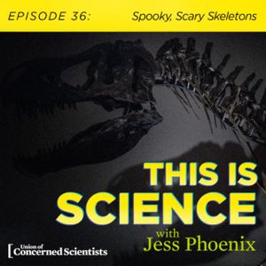 Spooky, Scary Skeletons