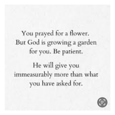 Guidance in Transformation