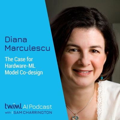 The Case for Hardware-ML Model Co-design with Diana Marculescu - #391