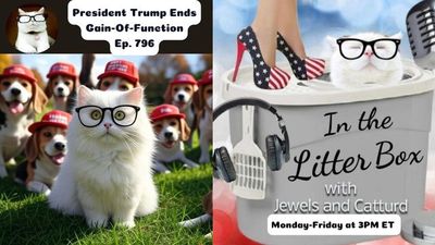 President Trump Ends Gain-Of-Function | In the Litter Box w/ Jewels & Catturd – Ep. 796 – 5/6/2025