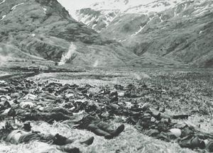 Episode 246-The End of the Aleutian Campaign