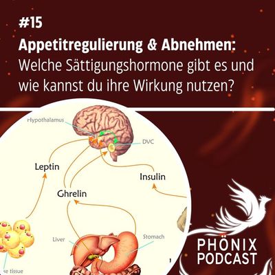 Appetitregulation & Abnehmen: Welche Sättigungshormone gibt es und wie kannst du ihre Wirkung nutzen?
