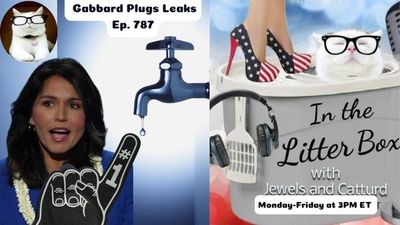 Gabbard Plugs Leaks | In the Litter Box w/ Jewels & Catturd – Ep. 788 – 4/24/2025
