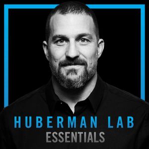 Essentials: How to Build Endurance