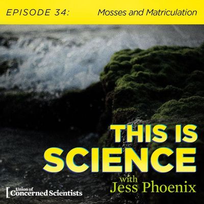 Mosses and Matriculation