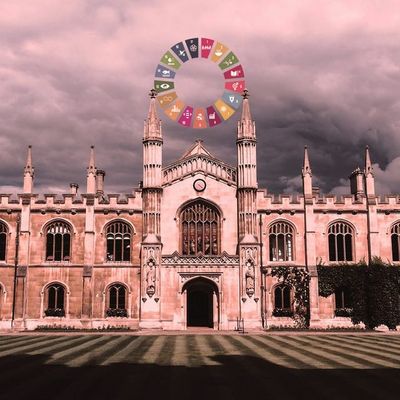 The Strange Death of the University, Part 3: The Strange Death of Science
