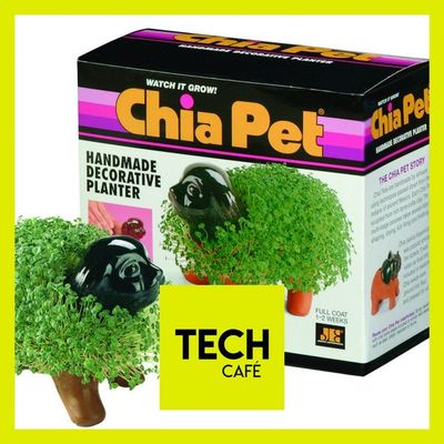 Planète, robots, procès et un peu de chia