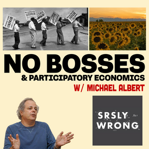 254 – No Bosses & Participatory Economics W/ Michael Albert