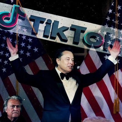 Elon Musk Gets Vetted for TikTok While Steve Bannon Seethes