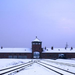 The Nazi Experiment, Vol. 3: The Individual Nazi in the Nazi State