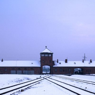 The Nazi Experiment, Vol. 3: The Individual Nazi in the Nazi State