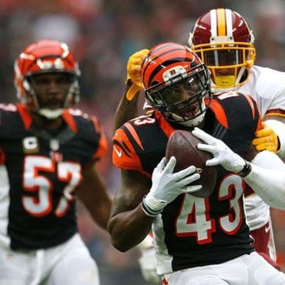 Locked on Bengals - 8/21/18 Proof of change and your voicemails