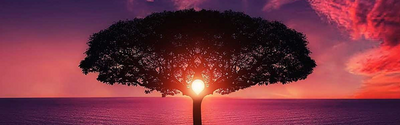 Basecamp for Men E141: Truth and Synchronicity