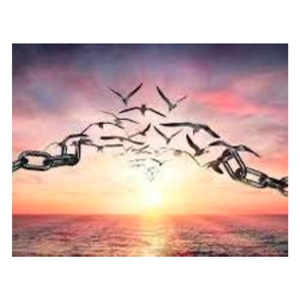 Finding the Light for Healing ~