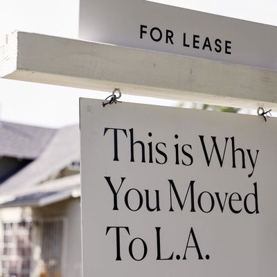 The Rental Market Is Wild Right Now