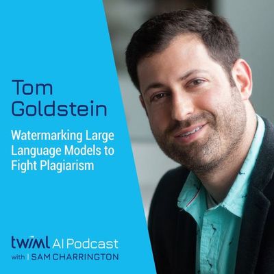 Watermarking Large Language Models to Fight Plagiarism with Tom Goldstein - 621