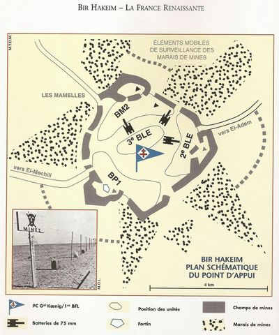 Episode 388-The Battle of Bir Hakeem: The Redemption of French Honor