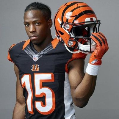 233: Locked on Bengals - 10/16/17 Ross returns and it's Steelers week!