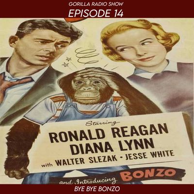 Episode 14 - Bye Bye Bonzo