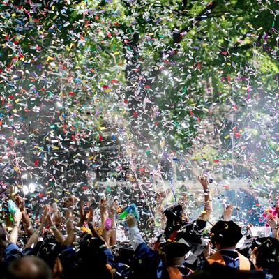 Bourgeois Overproduction and the Problem of the Fake Elite