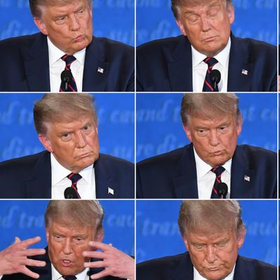 Trump's Baseless Attacks On Election Integrity Bolstered By Disinformation Online