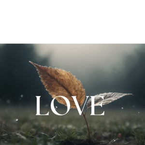 Harassment in Life ~&- Healing for Transformation