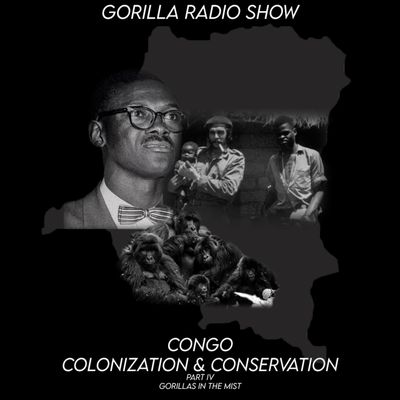 The Congo: Colonization and Conservation - Gorillas in the Mist