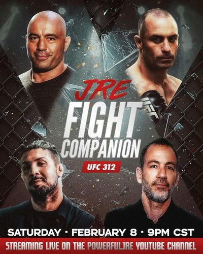 Fight Companion - February 8, 2025