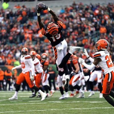 Locked On Bengals - 6/6/2019 OTAs Week 3 Recap: Auden Tate and Duke Tobin speak, and Marvin Lewis moves on at ASU