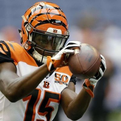 206: Locked on Bengals - 9/1/17 John Ross injured and thoughts on the kicking battle