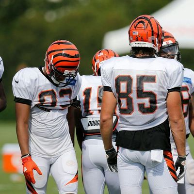 Locked on Bengals - 8/8/18 A Bengals vs Bears preview with Joe Goodberry