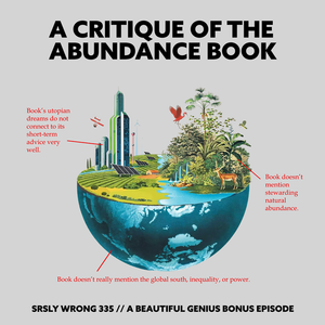 335 teaser – THE ABUNDANCE BOOK (A Critique)