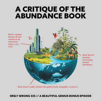335 teaser – THE ABUNDANCE BOOK (A Critique)