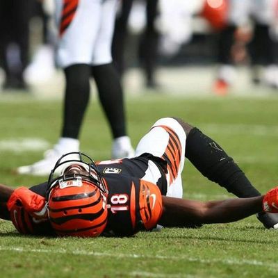 Locked on Bengals - 11/5/18 The Bengals lost on their bye week