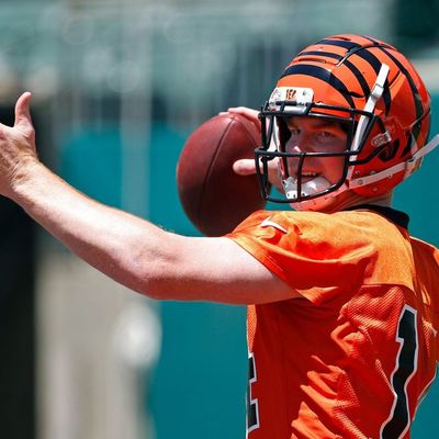 Locked On Bengals - 6/13/2019 - Minicamp Update