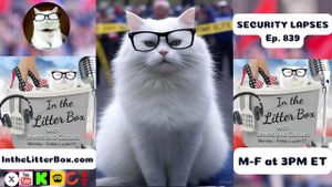 SECURITY LAPSES | In the Litter Box w/ Jewels & Catturd – Ep. 839 – 7/11/2025