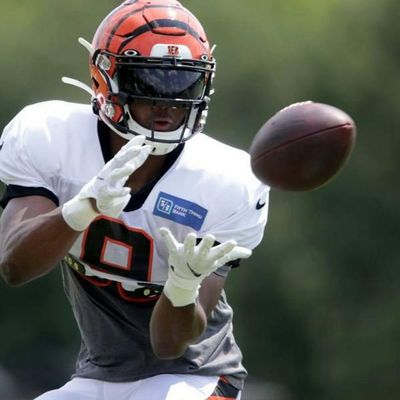 Locked On Bengals - 8/4/2019 Family Dey Practice Updates, Giovani Bernard Trade Rumors, and Shawn Williams on the Countdown to Kickoff