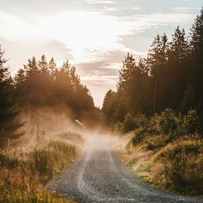 The Road Away from Radicalization