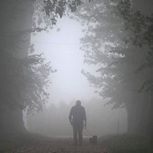 Dreams, Creatures, and Visions