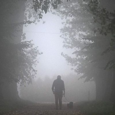 Dreams, Creatures, and Visions