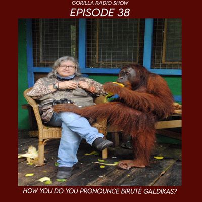 Episode 38 - How Do You Pronounce Biruté Galdikas