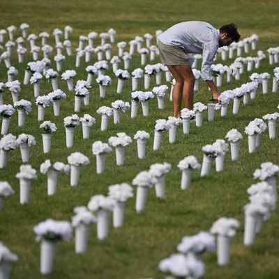 The Other Gun Deaths