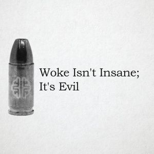 Woke Isn't Insane; It's Evil