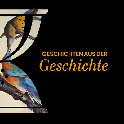 GAG340: Tauben, die Raketen steuern und Kybernetik