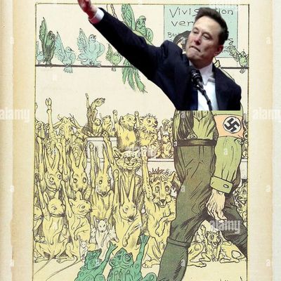 Episode 72 - Monkey Hate and Fascism