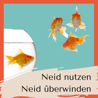 Neid nutzen, Neid überwinden