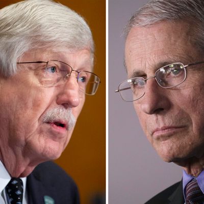The Day Everything Changed: Fauci, Collins Reflect On 1 Year Of The Pandemic