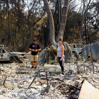 How Much Do You Really Know About Your Flood Or Wildfire Risk?